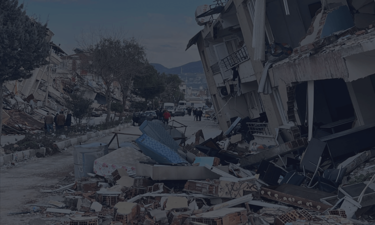 Depremde Yıkılan Binalarda Cezai Sorumluluk - Elif DOĞAN 